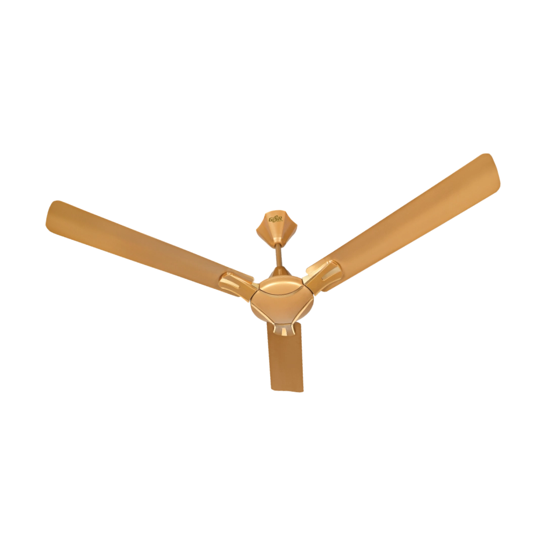 Ceiling Fan Momentum